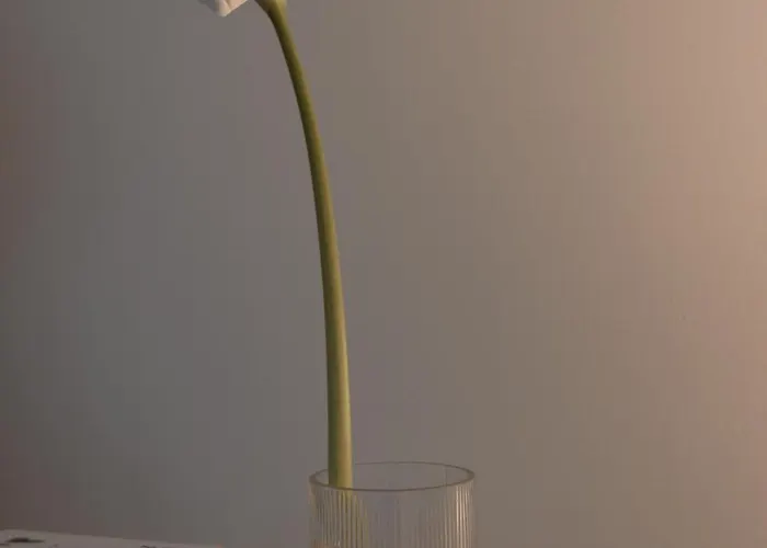 شقة Waterlane River View Premium Spa, Pool & Gym By Downtown غدانسك